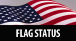 Flag Status Icon
